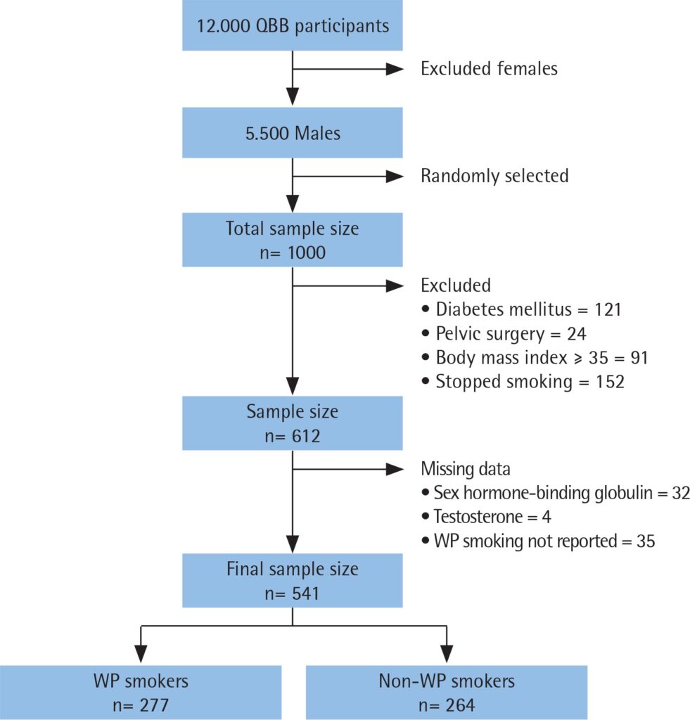 The Relationship Between Cigars and Testosterone Levels Alternative Factors Affecting Testosterone Levels